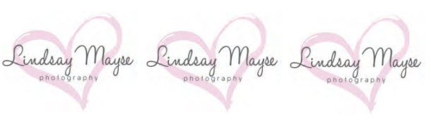 Lindsay Mayse Photography